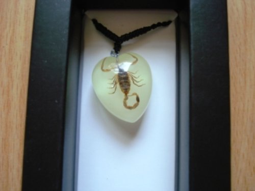 Scorpion Necklace #TOP3