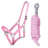 Halfterset mit silberfarbenen Beschlägen solides Nylonhalfter in trendigen Farben