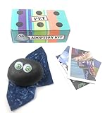 Rock Pet Adoption Kit Funny Novelty Gag Gift (Green Eyes)
