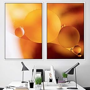 signwin 2 Piece Framed Canvas Wall Art Organic...