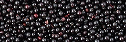 Biotta Organic Elderberry Juice - Naturally Sweetened Fruit Juice For Optimal Immune Support Function - With Immunity Boosting Elderberries - Good Source Of Potassium (16.9 Fl Oz, Pk Of 6) #TOP5