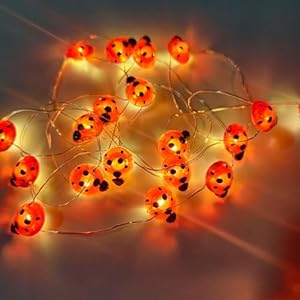 ENLACE Lichterkette Marienkäfer Rot, 3M 30 LED Käfer Lichterkette Batteriebetrieben, Marienkäfer Lichterketten für Hochzeits, Partys, Garten, Weihnachten Dekor, Frühlingsdeko, Außen Innen