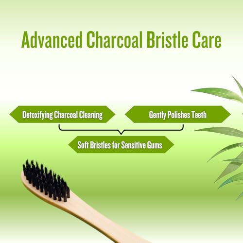 Image of Bamboo Toothbrush Activated Charcoal BPA-Free Soft Bristles Natural Eco-Friendly Biodegradable Wooden Toothbrush for Adults & Kids (Pack of 3)