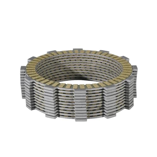 Disques d'embrayage de précision OEM 19020264A pour Scrambler