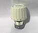 Price comparison product image Danfoss 013G2910 Thermostatic Radiator Valve Sensor Head by Danfoss Randall