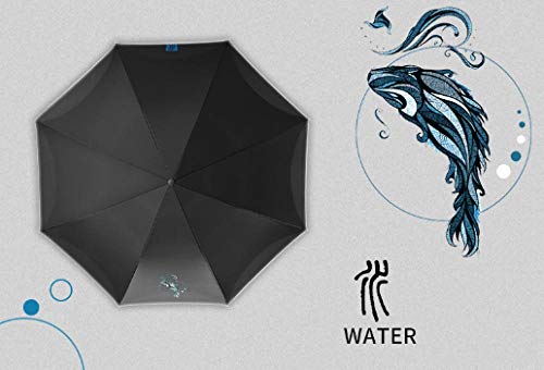 Preisvergleich Produktbild MedusaABCZeus Reiseschirm mit Baldachin,Herren Doppelschirm, Autogriff Regenschirm, Doppel Sonnenschirm-B,newdora Regenschirm