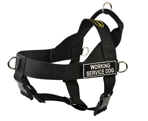 Harnais pour Chien No Pull de Travail DT Universal Contre les Tractions