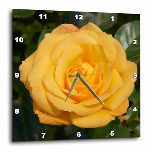 3dRose Wall Clock Silent - 10 inch - Blooming Yellow Rose - Photography – Flowers
