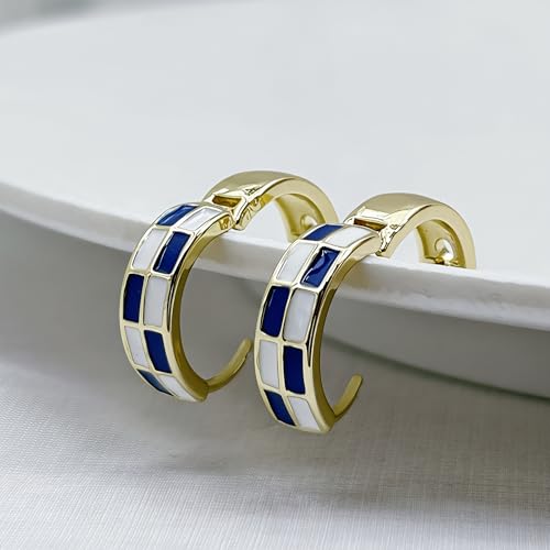 Checkered Earrings for Women Black And White Checkered Earrings Small Hoop Huggie Hypoallergenic Earring Trendy Hoop Earring Jewelry for Women3