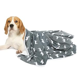 LUCKITTY-Waterproof-Dog-Cat-BlanketsSuit-UP-to-35-Lbs-Medium-PetsDogly-Print-Washable-Puppy-Blanket-for-CouchCarBed-ProtectionReversible-Fluffy-Sherpa-Fleece-Plush-Pet-Throws30Wx40LGrey - Cucciolini Doodles   LUCKITTY-Waterproof-Dog-Cat-BlanketsSuit-UP-to-35-Lbs-Medium-PetsDogly-Print-Washable-Puppy-Blanket-for-CouchCarBed-ProtectionReversible-Fluffy-Sherpa-Fleece-Plush-Pet-Throws30Wx40LGrey