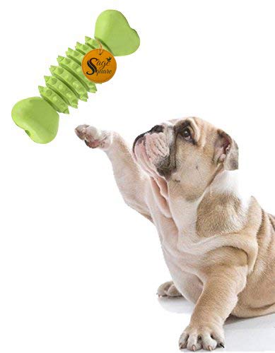 Jumbo Size Natural Rubber Bone Shape Toy Cum Tug Toy Cum Chew Toy for Dog/Puppy/Cat/Kitten (Green) (B079VM6WZY) Amazon Price History, Amazon Price Tracker
