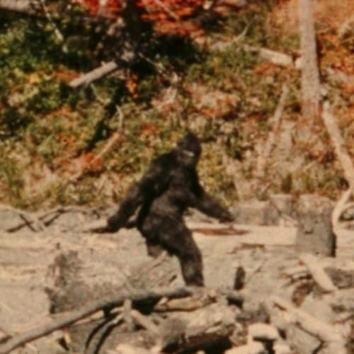 Ep#475: Iran, Trump, and Bigfoot