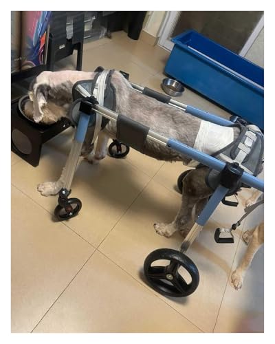 DXYOYONGMZ Dog Wheelchair for Back Legs, Pet Wheelchair, 4 Wheel Dog Wheelchair Mobility Cart, Disabled Doggie Assisted Walker, Injured Dog Walking Support(X-Small)