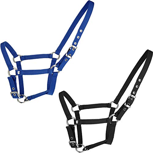 Best Bridle For Horses With Reins In Blue