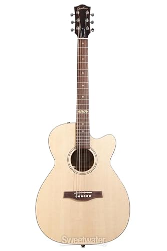 Godin Fairmount CW Flame Maple GT �A�R�[�X�e�B�b�N�G���L�M�^�[ - �i�`������