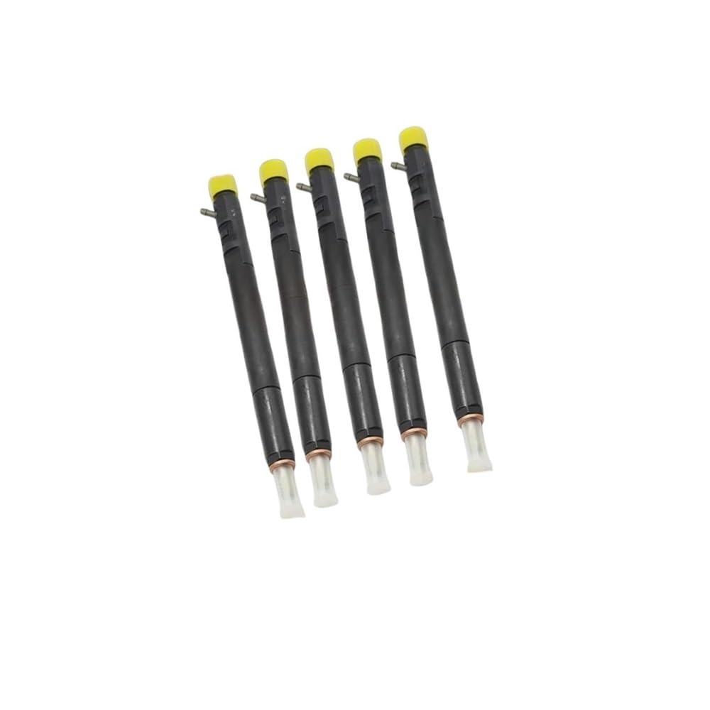 Fuel Injectors 5PCS EJBR04601D EJBR04701D EJBR04401D EJBR02601Z EJBR04501D EJBR03401D for Delphi for SsangYong Diesel Fuel Injector