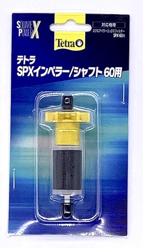 eg SPXCy[/Vtg 60p