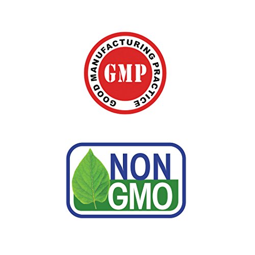 Maharishi Ayurveda - Throat Ease Immunity Management Herbal Drops | Promote A Comfortable Throat & Sinuses | Peppermint Oil Formulation For Powerful Cooling | Breath Freshening Droplets (120 Drops) #TOP4