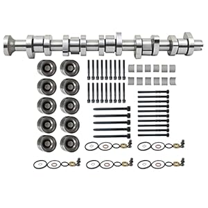 Niceke Jeu d’arbres à cames + 10 × Poussoirs hydrauliques 038109309A 070109101Q 2.5 R5 TDI Compatible avec BNZ BPC BPD BPE