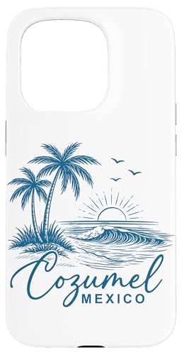 �R�X���� ���L�V�R �J���u�C �� �o�P�[�V���� ���s �X�}�z�P�[�X iPhone 15 Pro �p