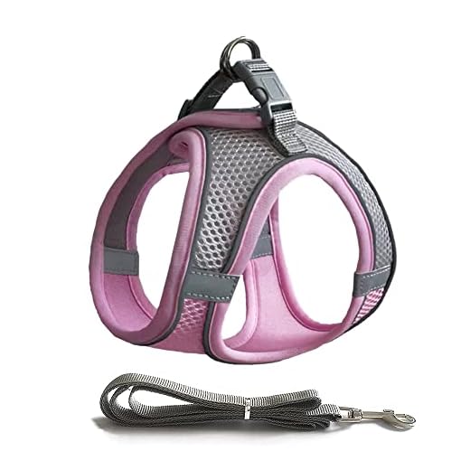 Samen Op Stap: 15 Kittentuigjes voor Onvergetelijke Avonturen 8 Kattenharnas met riemset, kattenharnas zachte kattenriem met reflecterende strips, kleine hondenhondenhondenriem voor wandelen buitenactiviteiten (S, roze)