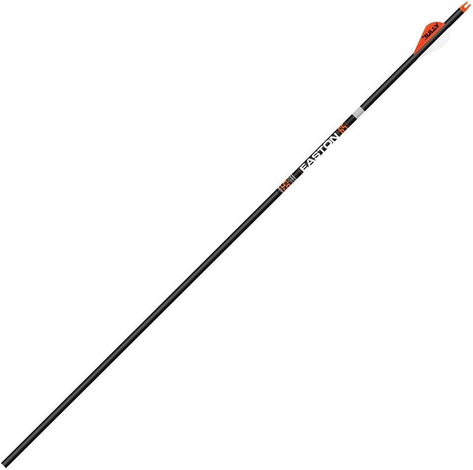 Easton 6.5 Hunter Classic Arrows 300 2 in. Bully Vanes 6 pk.