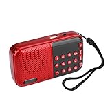 Langzeitwiedergabe - Der 2000-mAh-Akku mit großer Kapazität ermöglicht dem MP3-Player-Radio die Wiedergabe von Musik über lange Zeit.