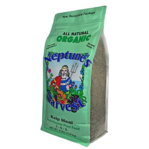 Neptune's Harvest Tomato & Veg Fertilizer 2-4-2, 36 Oz & Kelp Meal Multi-Purpose Plant Food 1-0-2, 4 Lb #TOP5