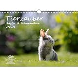 Calendrier 2020, motif lapins et lapins - Format A3-1 carte de vœux et 1 carte de Noël