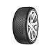 Produktbild Minerva All Season Master XL M+S - 225/35R19 88Y - Ganzjahresreifen