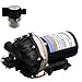 Everflo EF3000 12V Demand Diaphragm Pump with Shurflo 255-313 Strainer (Bundle, 2 Items)