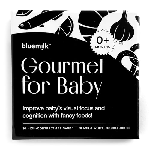 Chunky Deli Gourmet for Baby High Contrast Art Flashcards Toy Pack of 10 by Chunky Deli - Used condition - Image 2