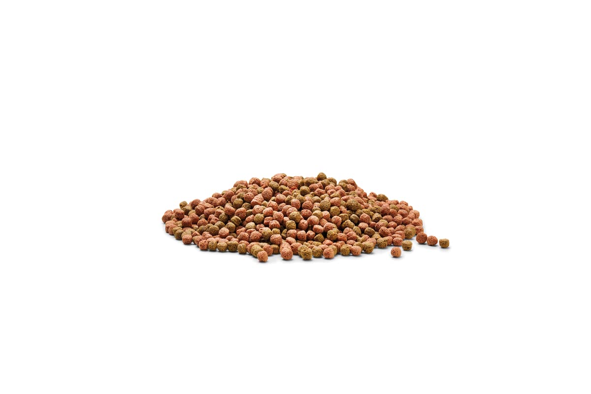 OASE Dynamix Koi Pellet groß 20 L - Koifutter für alle Kois ab 20 cm Körperlänge, Teichfischfutter in Pelletform (7-8 mm), für eine ausgewogene Ernährung