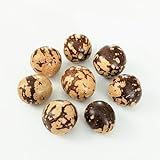 Tagua Nut Beads Small Natural 20-30mm Package of 6 Beads