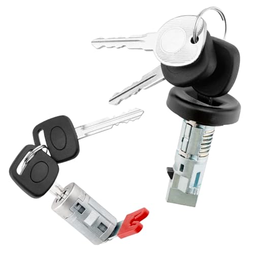 Ignition Switch & Door Lock Cylinder with Keys (with Chip),