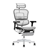 エルゴヒューマン Ergohuman PRO2 ottoman EHP2-LPL-BF 価格比較