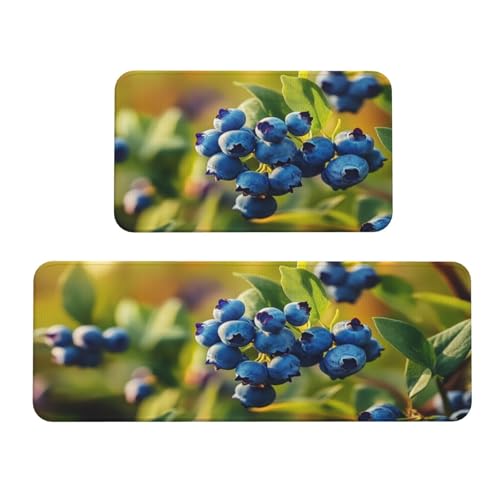 Blueberry Detail Lot de 2 tapis de cuisine rembourrés confortables pour décoration de la maison, évier, tapis de cuisine pour sol antidérapant, lavable, blanchisseur 43,2 x 119,2 cm + 43,2 x 76,2 cm