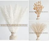 100 szt. białych pampasów, naturalna suszona dekoracja z trawy pampasowej, biała trawa pampasowa, Bunny Tails suszone kwiaty, bukiet trawy trzcinowej na wesele, boho dekoracja kwiatowa do domu