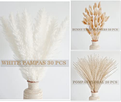 image for ANPROOR Natural Dried Pampas Grass Decor, White Pampas Grass， Bunny 
