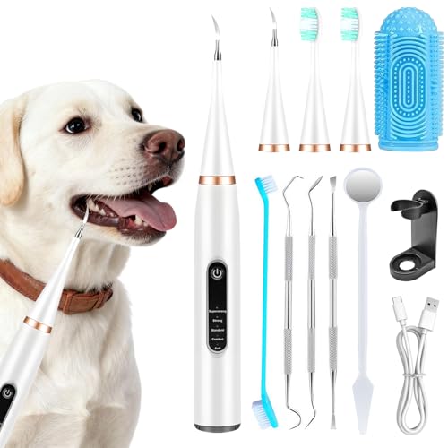 Rimuovi Tartaro Denti Del Tuo Cane, Pulizia Denti Cane, Spazzolino Ultrasuoni Cane, Kit Per L'igiene Dentale Degli Animali Domestici Da 12 Pezzi, 5 Modalità Di Pulizia, Elimina L'accumulo Di Tartaro