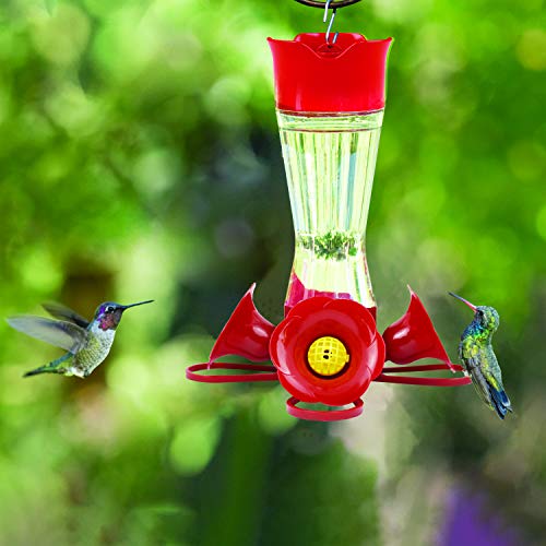 Perky-Pet 203Cpbn-2 Pinch-Waist Glass Hummingbird Feeder With Perches, Built-In Ant Moat And Bee Guards - Outdoor Garden Décor - 2 Pack #TOP1