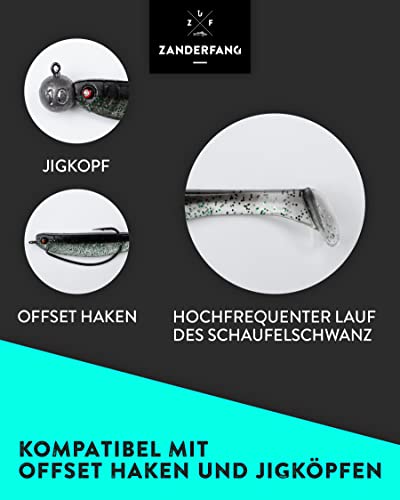 Zanderfang - Zander Gummifische - Kunstköder für Zander und Barsch - Gummiköder mit Fischaroma aromatisiert - UV-Aktivität - 5er-Set - Braun-Grün