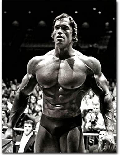 Moderne Leinwand Malerei Arnold Schwarzenegger Bodybuilding Plakate...