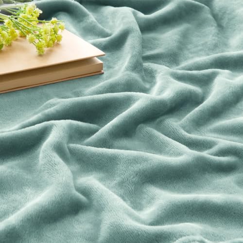 Image of BEDELITE Fleece Blanket Soft Plush Throw for Couch Dusty Blue 50 inchx60 inch
