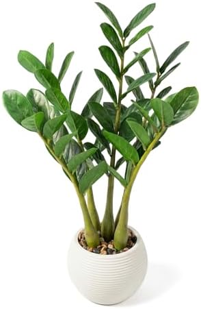 TentoWhan（2Packs Faux Plants Indoor 17"...