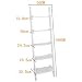 SoBuy Moderna Estantería Escalera con Cinco Estantes en Color Blanco,FRG17-W,ES