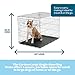 Carlson Pet Products Single Door Metal Dog Crate, Large 42