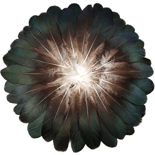 FeelfunFeather 120pcs Natural Goose Feathers 6-8 Inch 15-20cm Decorative Feather Bulk for DIY Crafts Cosplay Party Christmas Halloween Home Decoration