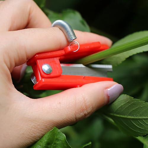 2 tijeras para pulgar para cosecha de frutas