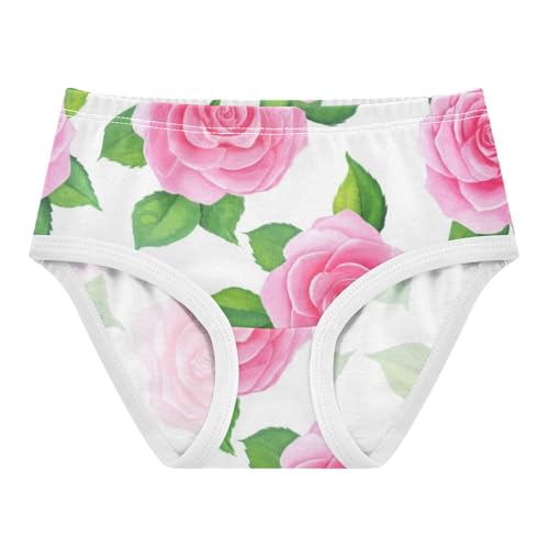 Roses Green Leaves Cute Panties Girl Girls Underwear Toddler Cotton Pattern Briefs Girls Undies 2t
